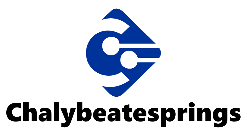 chalybeatesprings.com